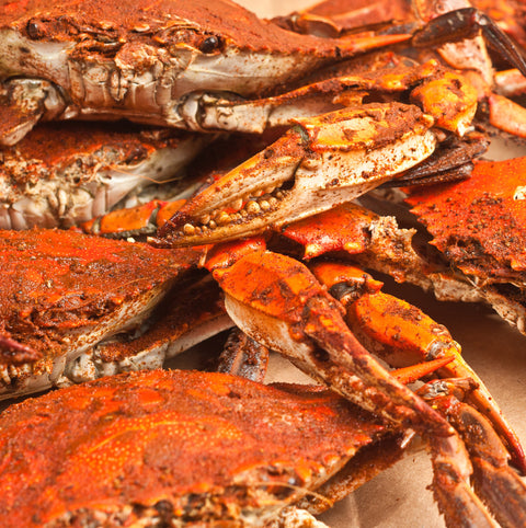 Farmersville Spice Co. Bulk Bay Seafood Seasoning – 25 lb Case