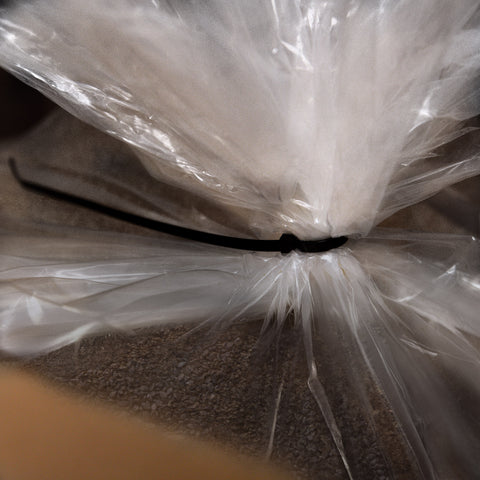 Farmersville Spice Co. Bulk Black Sesame Seeds – 25 lb Case