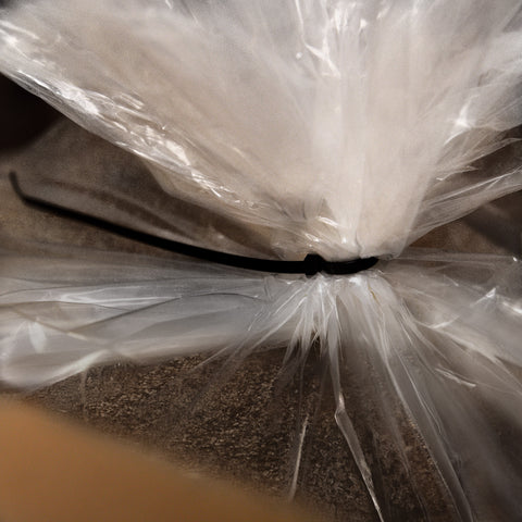 Farmersville Spice Co. Bulk Poppy Seeds – 25 lb Case